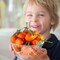 7-Cluster Artificial Mini Oranges – Realistic Faux Tangerines for Kitchen, Dining Table, Fruit Bowls, Party, and Home Décor